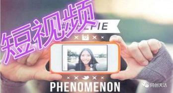 小山哥视频爆料网站大全,一网打尽热门爆料平台